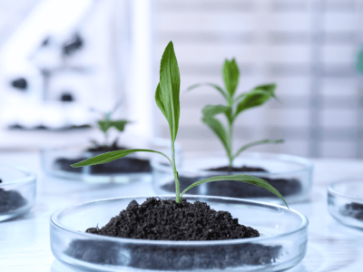 Environmental Technician